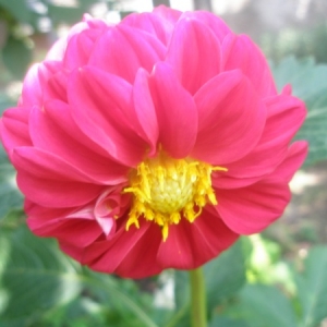 p7300125