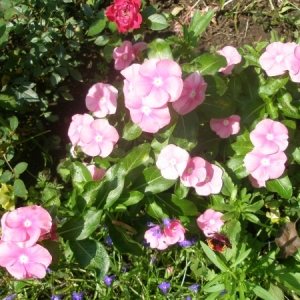 p7300135