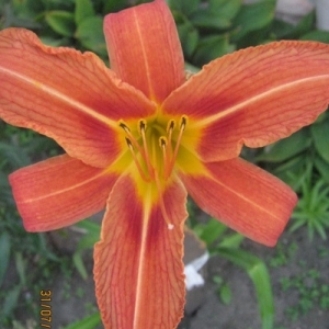 бк 003