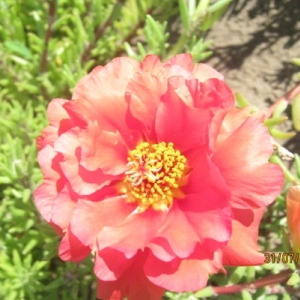 бк 010