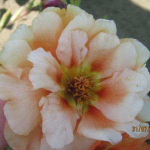 бк 022