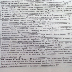 p1010693