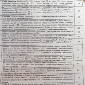 p1010694