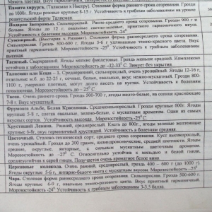 p1010695