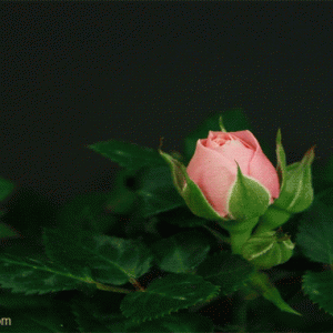 049