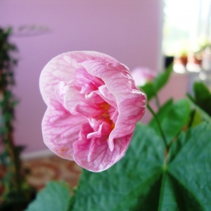 dsc08930