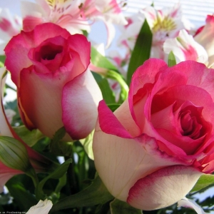 picsdesktop.net 114
