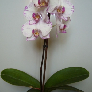p1050011