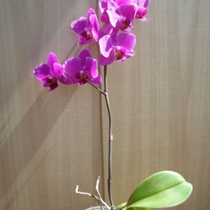p1050020