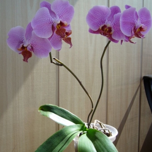 p1050022