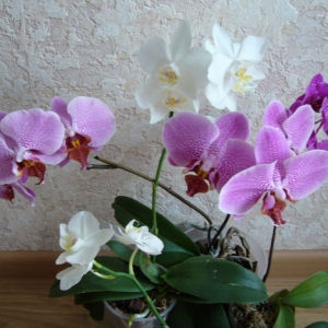 p1050025