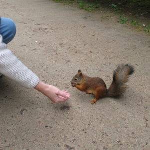 Павловский парк