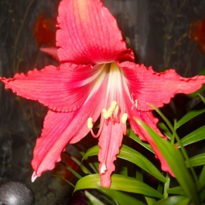 dscn3315