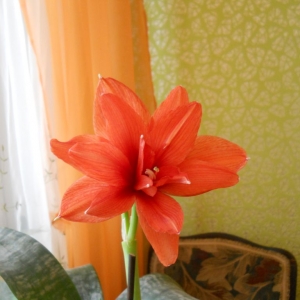 dscn3533