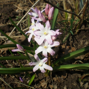 p4210009