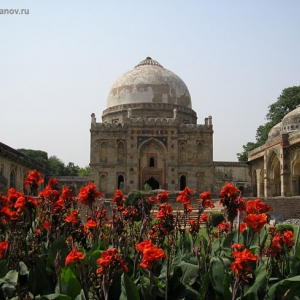 lodhi flowers