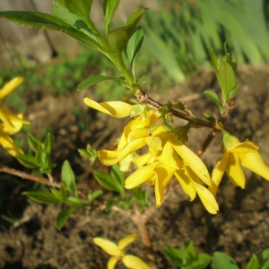p5080037