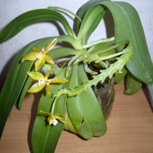 p1060025
