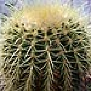 Echinocactus grusonii 5с – 20 р