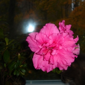 dsc04212