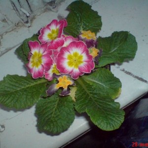 dsc01155