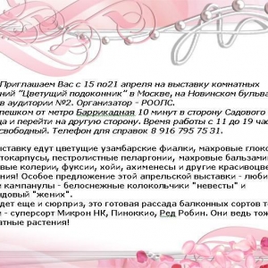 1205184087 0lik.ru frame 1585