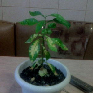 img 20130422 204544