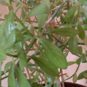 img-20130529-wa0001