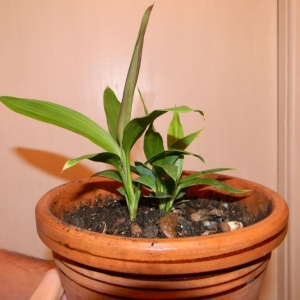 dscn5037