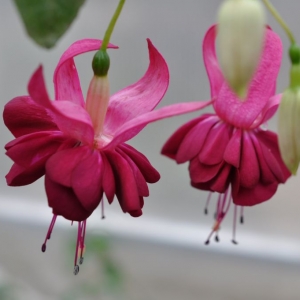 октябрь 2013 016