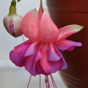 октябрь 2013 022