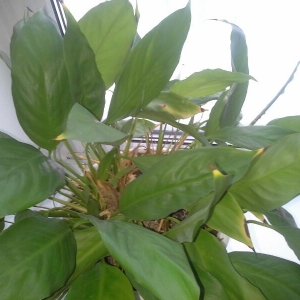 rps20140107 124441 267