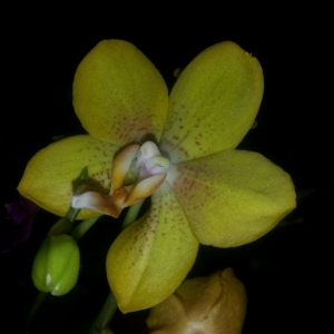 20140213 225821