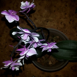 20140215 194020