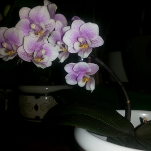 20140213 225814