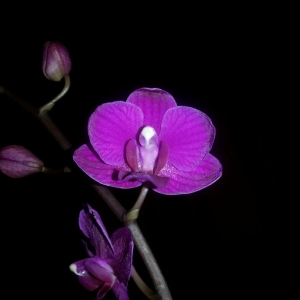 20140213 230255