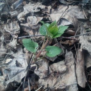 неизвестное мне