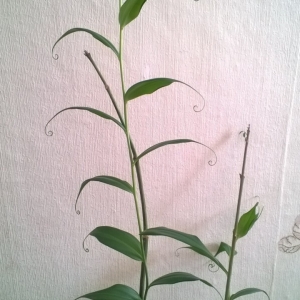 WP_20140427_008.jpg