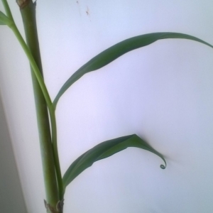 WP_20140427_005.jpg