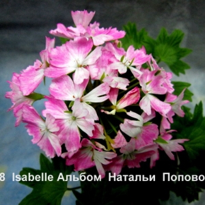 18  Isabelle Альбом  Натальи  ПоповойИзображение 350.jpg