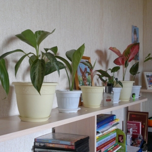 Письменный стол