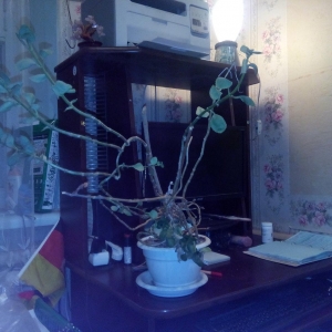 Было