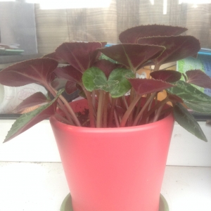 Не знаю названия