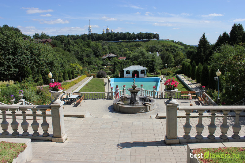 Владимирский сад фото