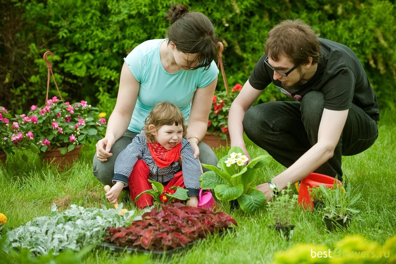 Сенсорные сады для детей. Сенсорный сад для детей. Садоводческая терапия. Терапевтический сад. Сенсорный сад для детей с ОВЗ.